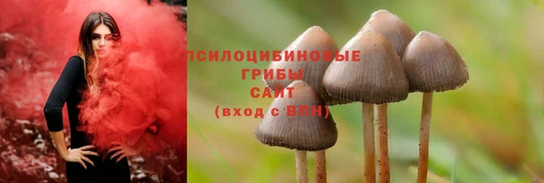 дурь Коряжма