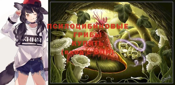 jwh Костерёво