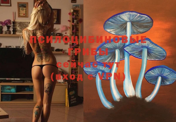 MESCALINE Корсаков